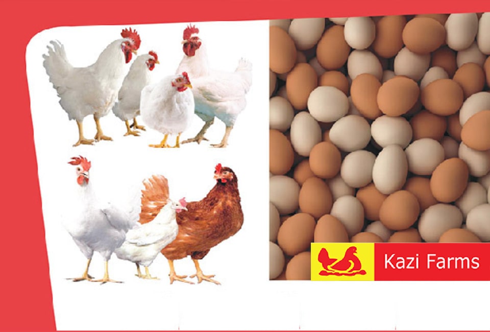 Kazi Farms' ERP implementation experience